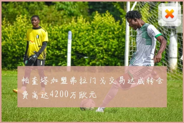 帕奎塔加盟弗拉门戈交易达成转会费高达4200万欧元