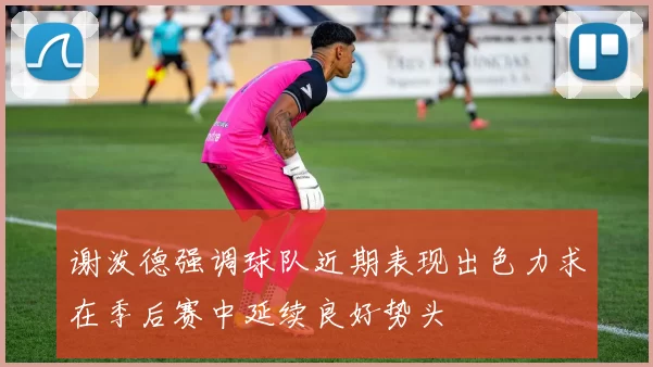 谢泼德强调球队近期表现出色力求在季后赛中延续良好势头
