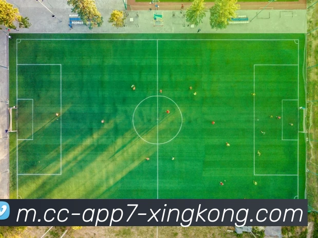 扫码下载 App